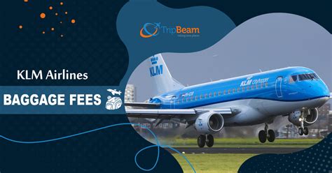 klm excess baggage fee|klm oversize baggage fees.